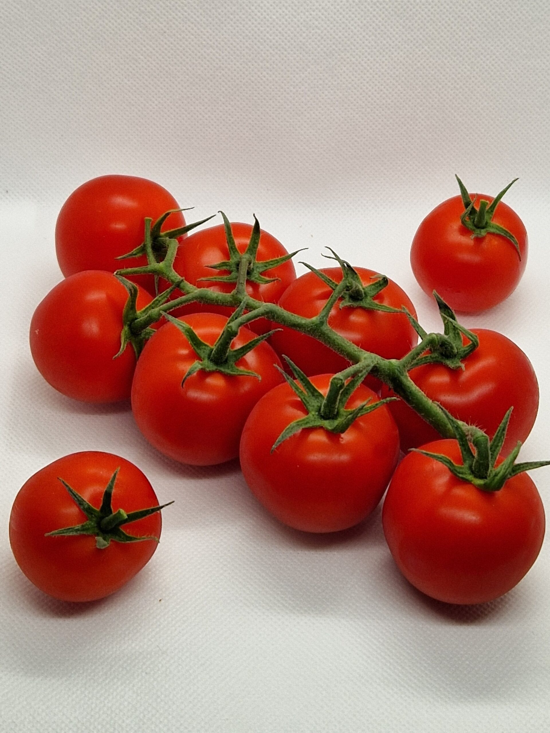 Fresh tomatoes from approved MAHAN product photographs