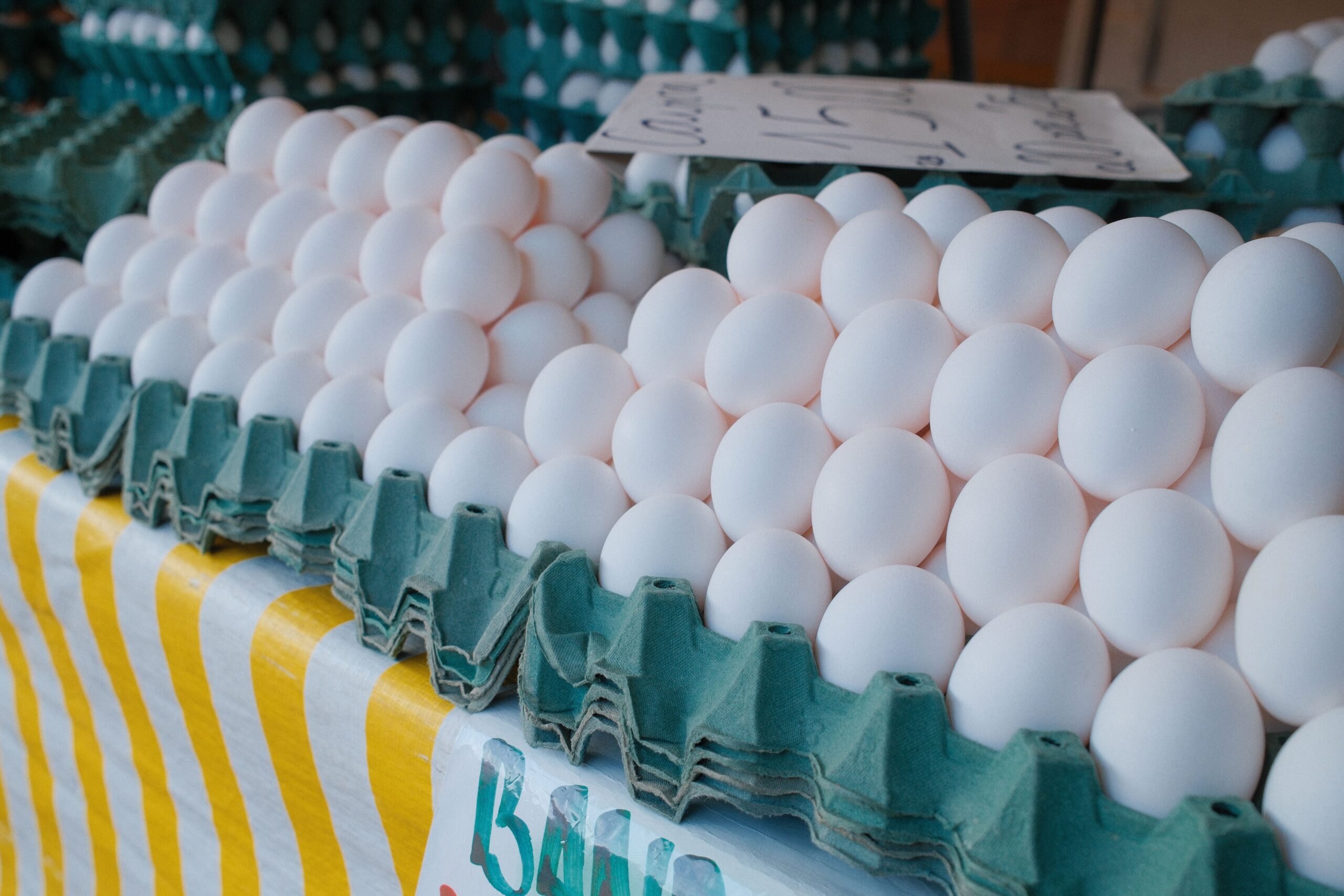 White Eggs illustrative product photo