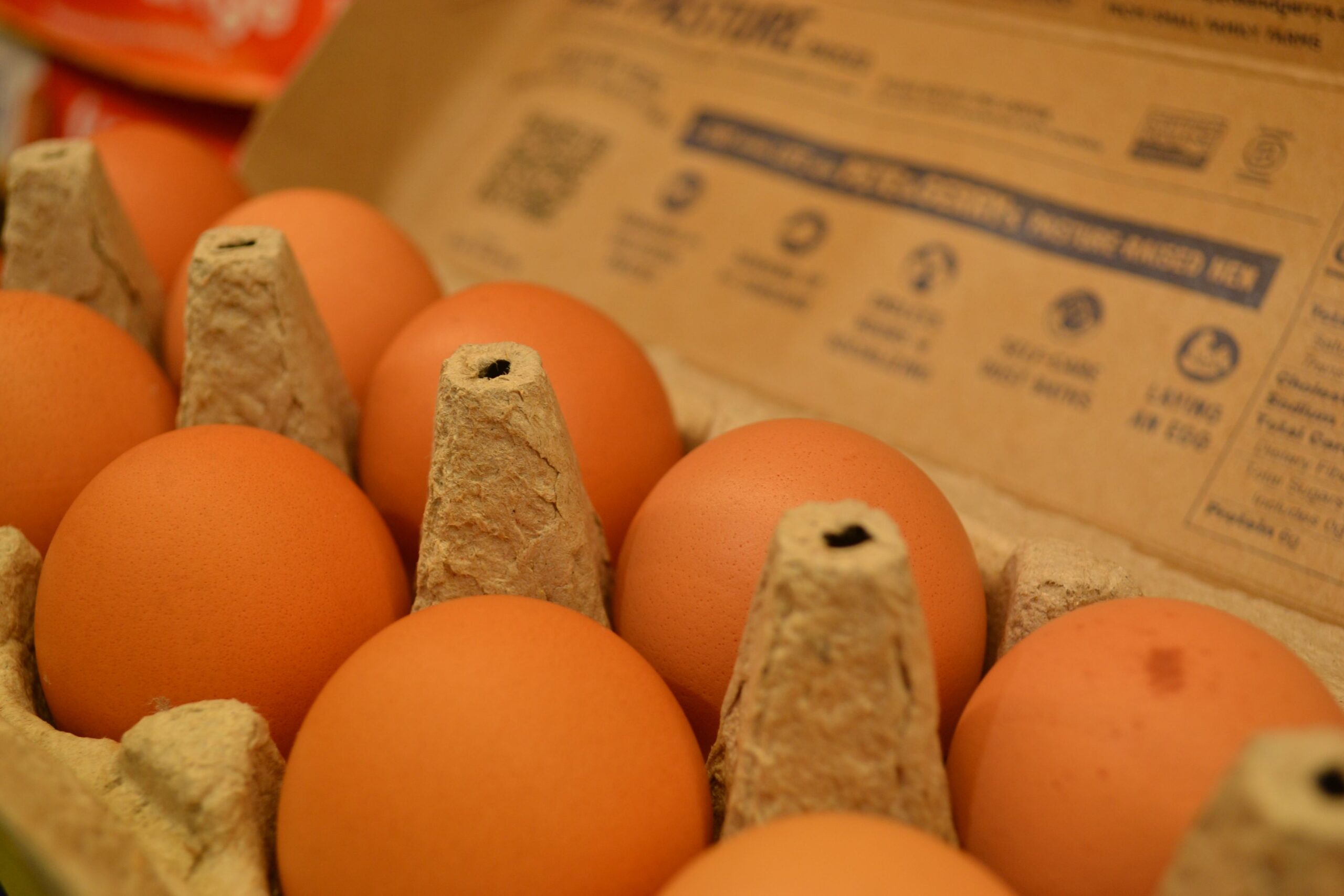 Brown Eggs illustrative product photo