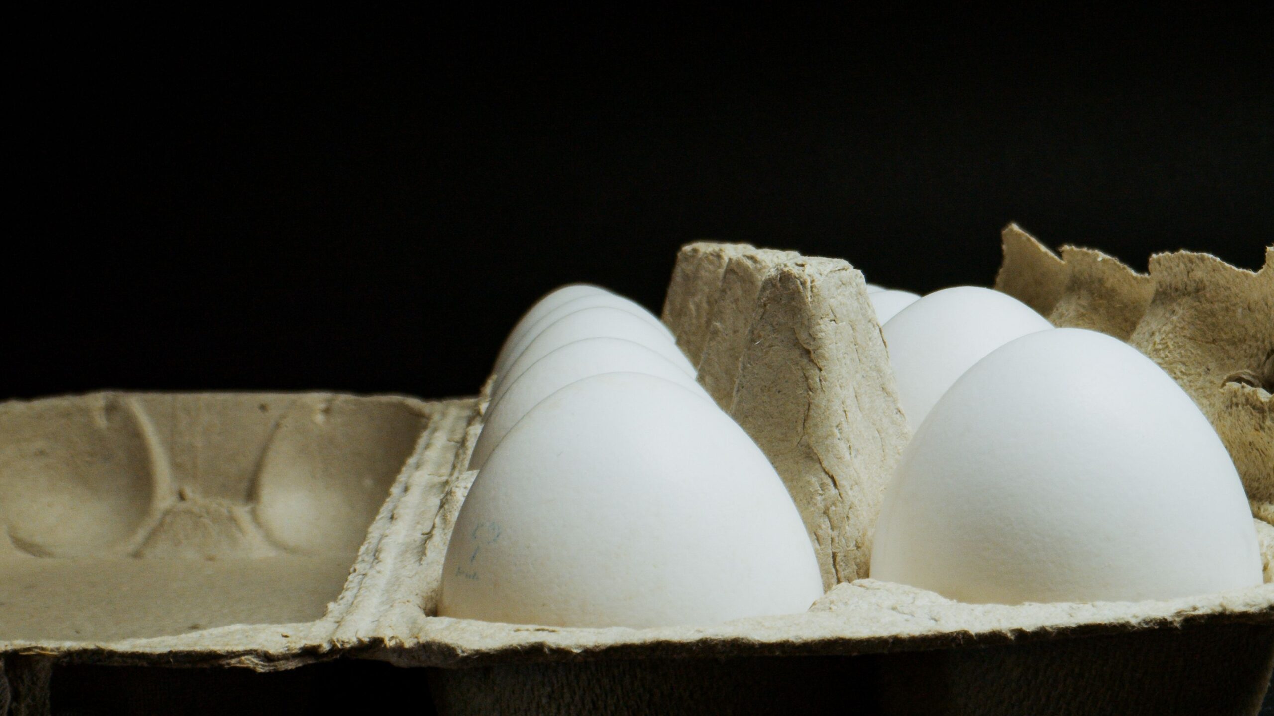 White Eggs illustrative product photograph